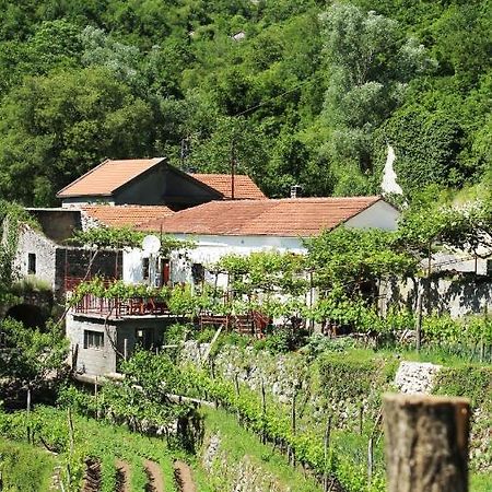 Country House Dajkovic Dupilo Екстер'єр фото