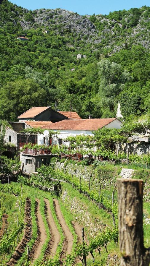 Country House Dajkovic Dupilo Екстер'єр фото